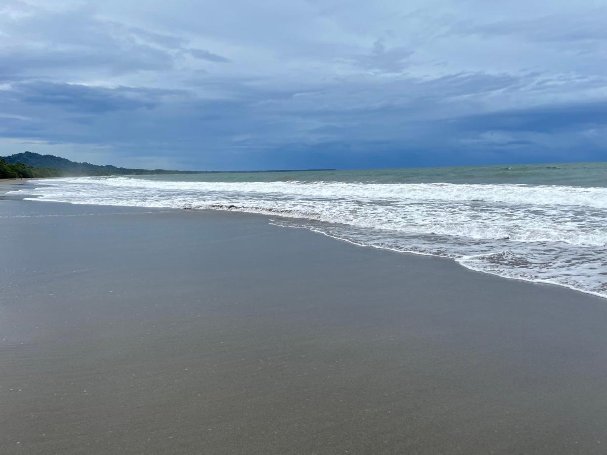 Puerto Viejo de Talamanca Perla Negra Beachfront מראה חיצוני תמונה