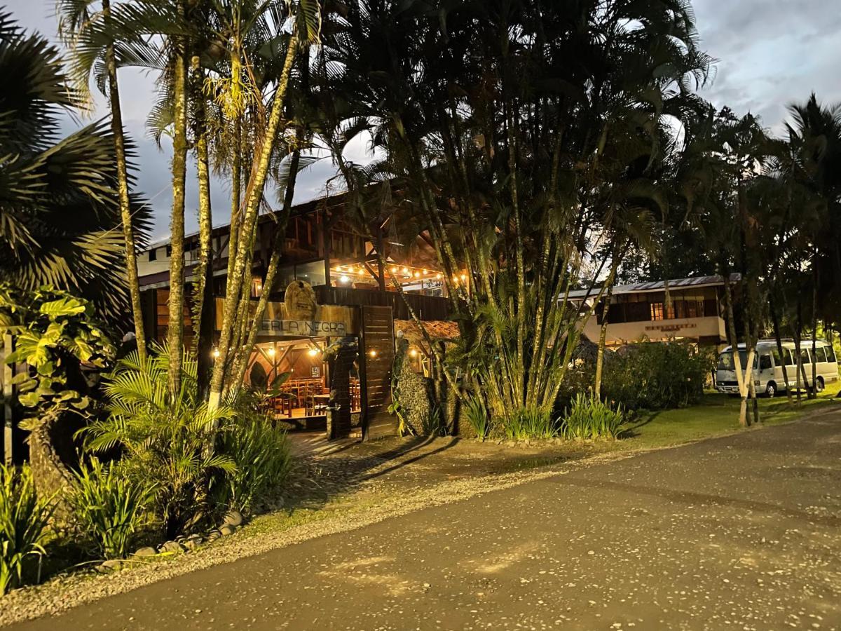 Puerto Viejo de Talamanca Perla Negra Beachfront מראה חיצוני תמונה