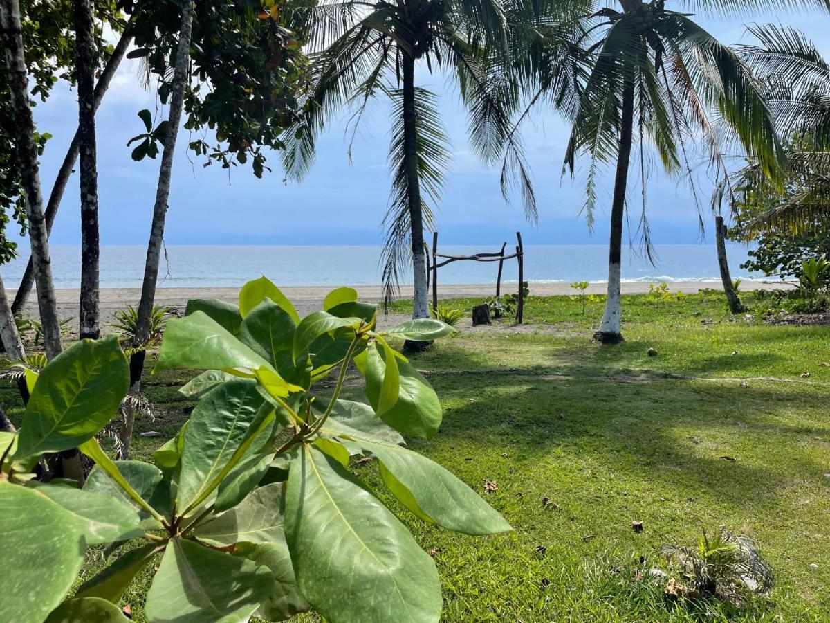 Puerto Viejo de Talamanca Perla Negra Beachfront מראה חיצוני תמונה