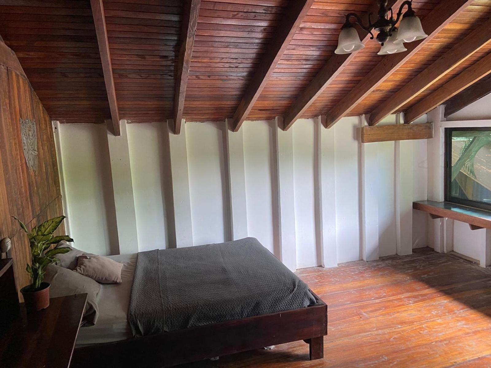 Puerto Viejo de Talamanca Perla Negra Beachfront מראה חיצוני תמונה