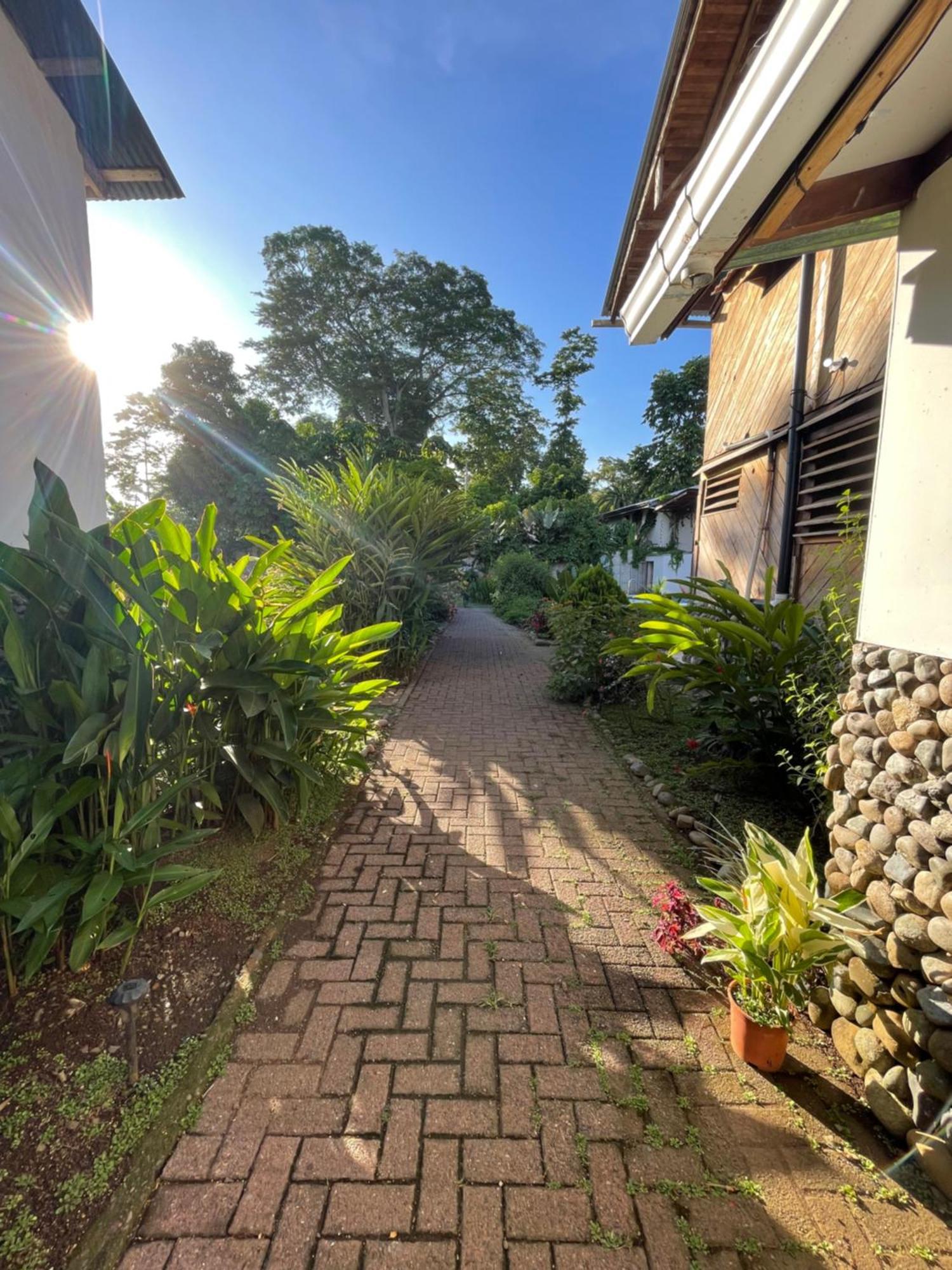 Puerto Viejo de Talamanca Perla Negra Beachfront מראה חיצוני תמונה