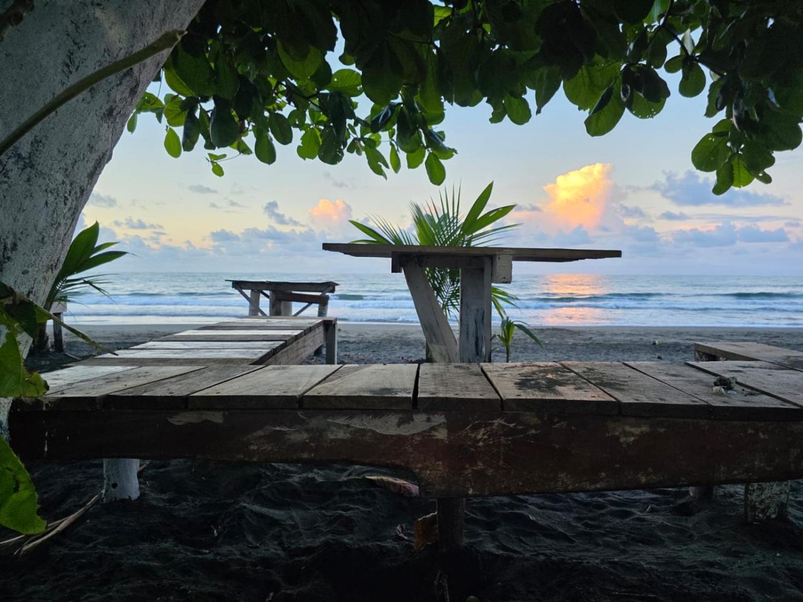 Puerto Viejo de Talamanca Perla Negra Beachfront מראה חיצוני תמונה